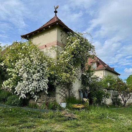 La Maison Du Parc Saint-Raphaël 外观 照片