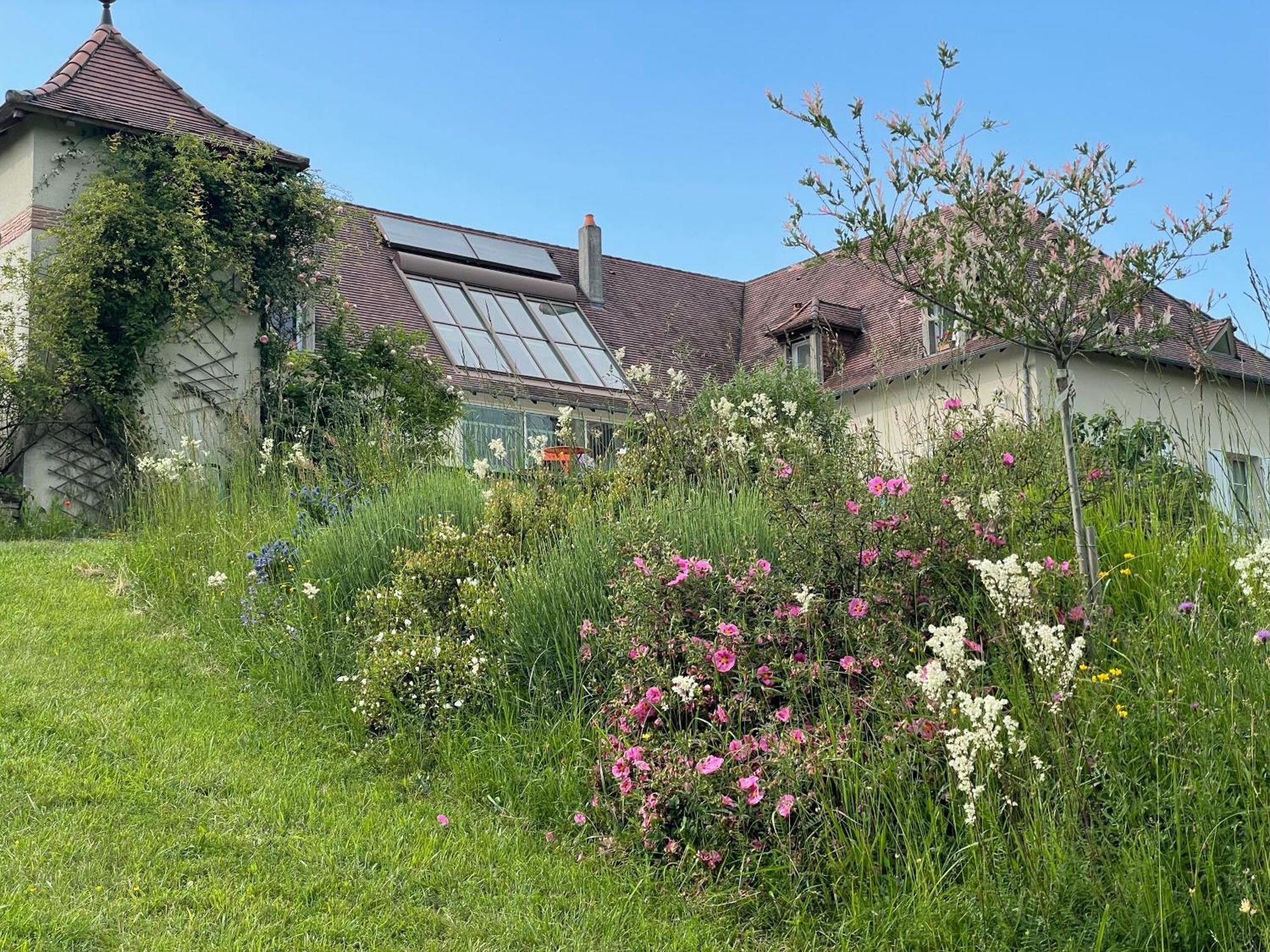 La Maison Du Parc Saint-Raphaël 外观 照片
